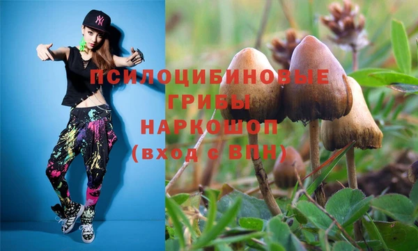 PSILOCYBIN Верхнеуральск